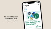 Smarte Features: Mit allen Funktionen von Web-to-Publish.