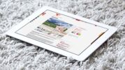 PIM: Ausgabe im Omnichannel bei Alpina Farben
