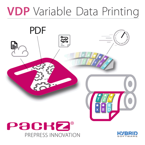Hybrid Software - VDP