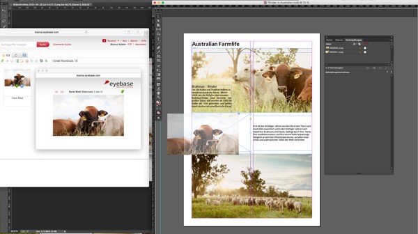 Integration eyebase von CMB mit InDesign